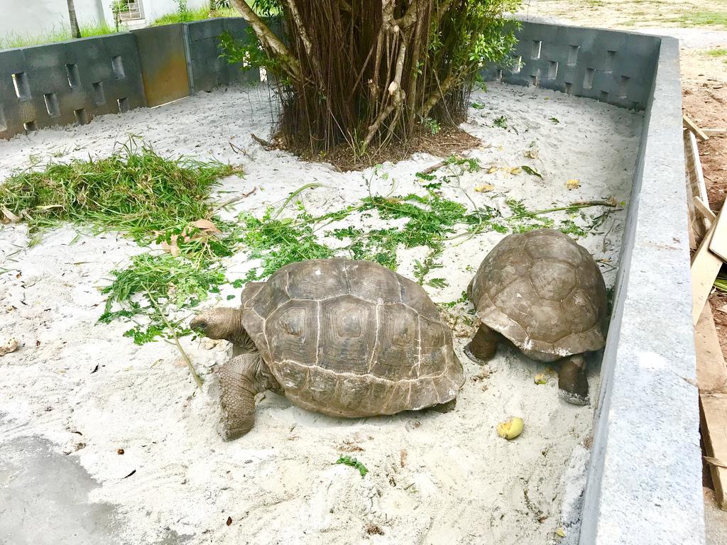キャスタウェイ ロッジ Pointe Au Sel エクステリア 写真